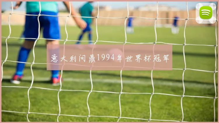 意大利问鼎1994年世界杯冠军