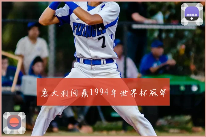 意大利问鼎1994年世界杯冠军